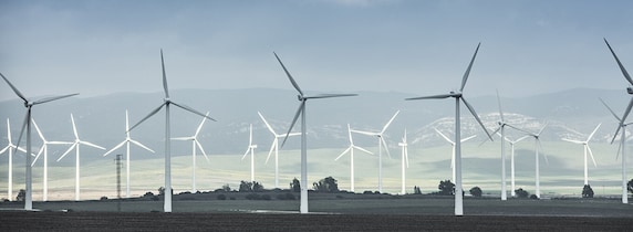environment