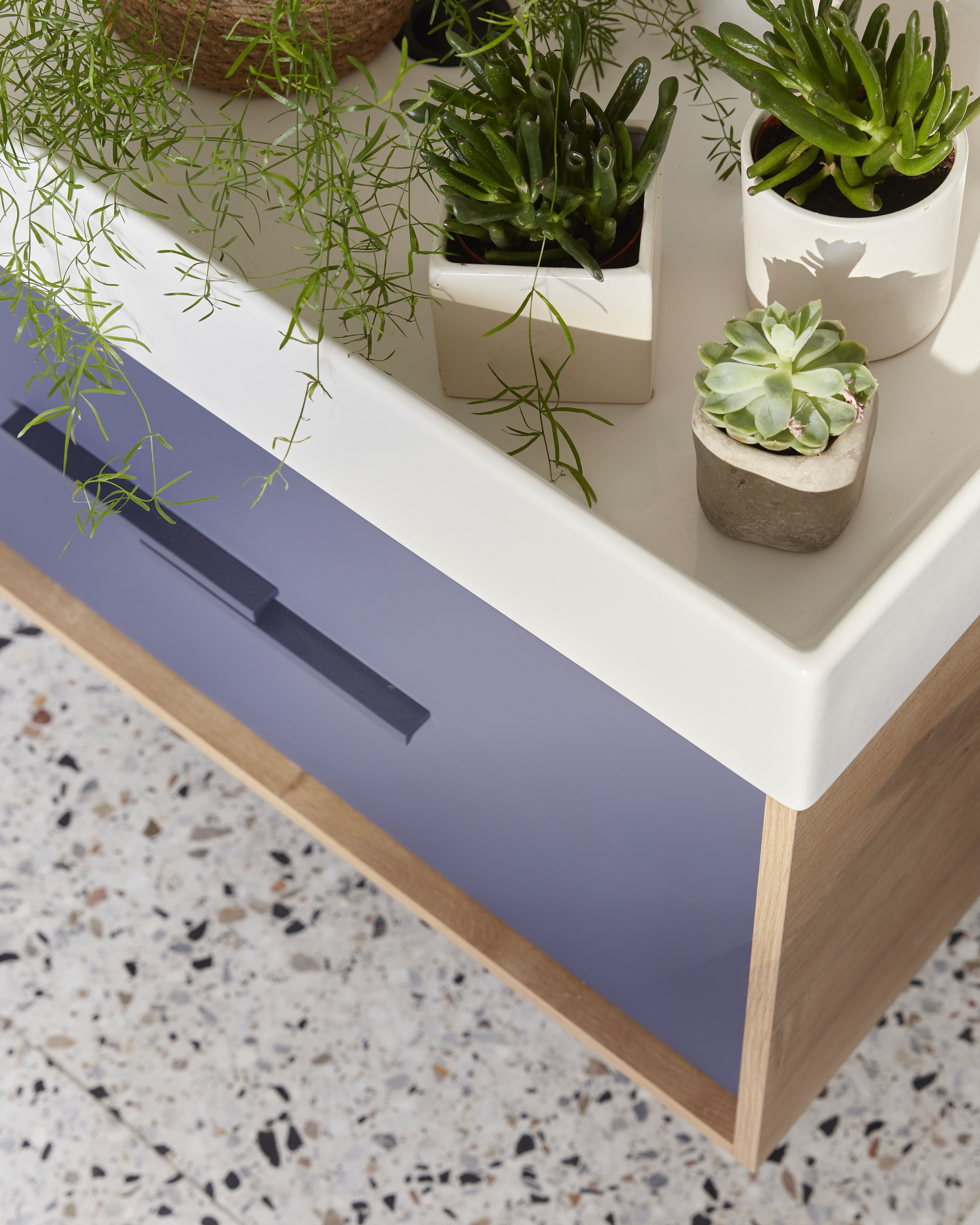 Choisissez un assortiment de plantes pour amener de la vie à votre salle de bains